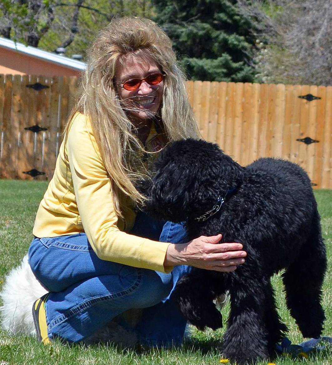 Dog training classes in Colorado is offered by Sandra Lynn