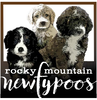 Rocky Mountain Newfypoos